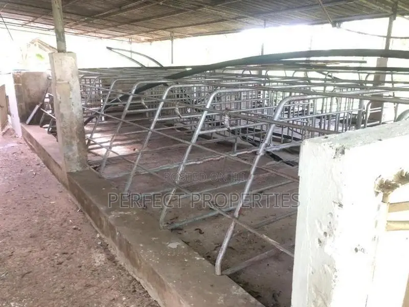 VALUABLE FARM / PIGGERY COCONUT ESTATE FOR SALE