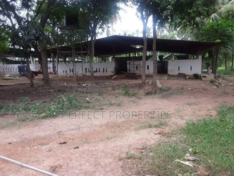 VALUABLE FARM / PIGGERY COCONUT ESTATE FOR SALE