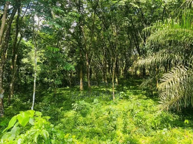4 acres Rubber Land AT Kiriwattuduwa,Close to Tech City, HOMAGAMA
