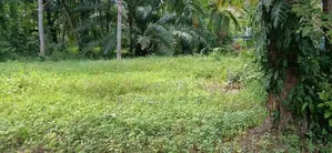 Land for Sale in Gampaha