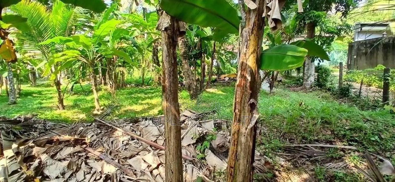 Land for Sale Gampaha Yakkala