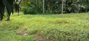 Land for Sale in Gampaha