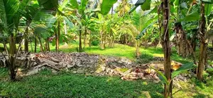 Land for Sale Gampaha Yakkala