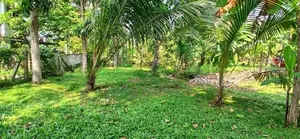 Land for Sale Gampaha Yakkala