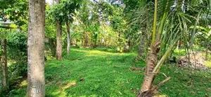 Land for Sale Gampaha Yakkala