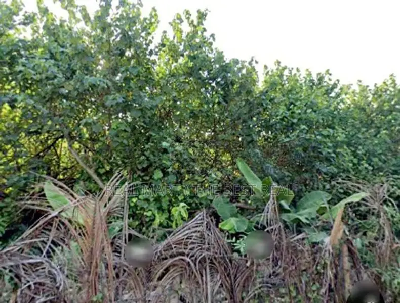 Kelaniya : 215 perches Bare Land for Sale at Pattiya Junction