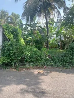 Rajagiriya Prime Location 12.3Perches Land For Sale