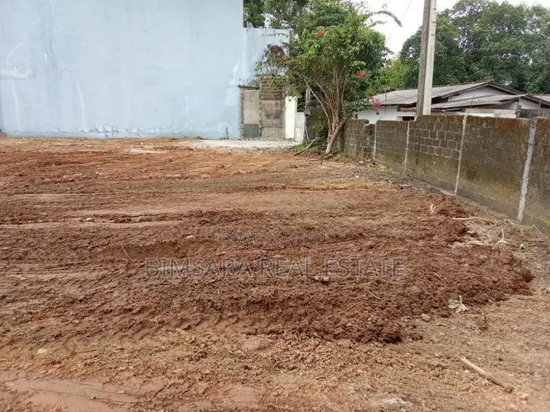 24 PERCH PRIME COMMERCIAL LAND FOR LEASE AT LAKE ROAD | LH 03662