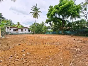 කඩවත, ජයමාවත පිහිටි වටිනා ඉඩමක් විකිණීමට. (ID: KDWT001S)
