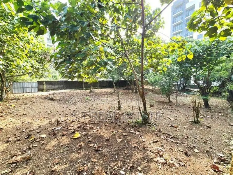 Bare Land For Sale In Thalawathugoda