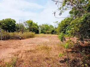 (AF391) 147.25 P Beach Facing Land Sale At Kahadamodara Rekewa Ranna