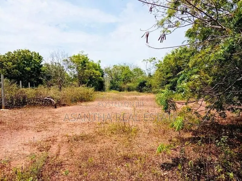 (AF391) 147.25 P Beach Facing Land Sale At Kahadamodara Rekewa Ranna
