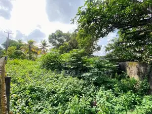 10 P Land Sale At Facing Colomba Tanthree Mw Ethulkotte