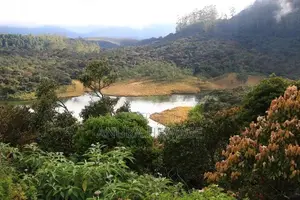 නුවරඑළියේ පිහිටි සුන්දර වටපිටාවක් සහිත ඉඩමක් විකිණීමට ඇත.(ID : NWRL001