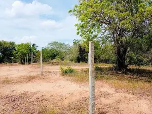 (AF391) 147.25 P Beach Facing Land Sale At Kahadamodara Rekewa Ranna