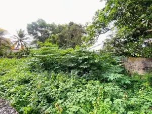 10 P Land Sale At Facing Colomba Tanthree Mw Ethulkotte