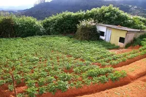 නුවරඑළියේ පිහිටි සුන්දර වටපිටාවක් සහිත ඉඩමක් විකිණීමට ඇත.(ID : NWRL001