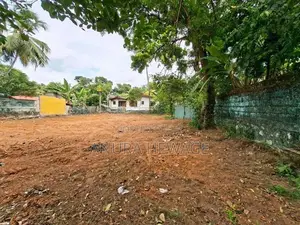 කඩවත, ජයමාවත පිහිටි වටිනා ඉඩමක් විකිණීමට. (ID: KDWT001S)