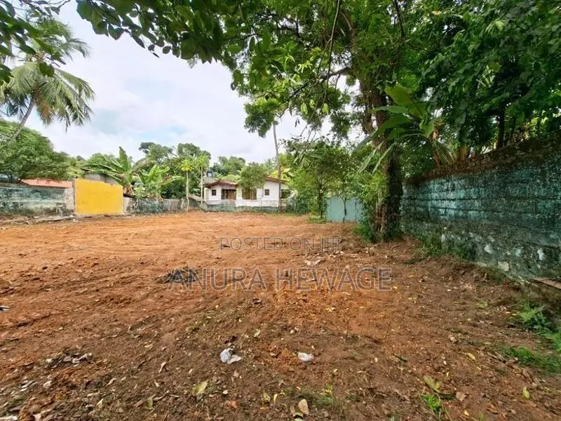 කඩවත, ජයමාවත පිහිටි වටිනා ඉඩමක් විකිණීමට. (ID: KDWT001S)