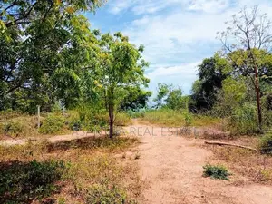 (AF391) 147.25 P Beach Facing Land Sale At Kahadamodara Rekewa Ranna