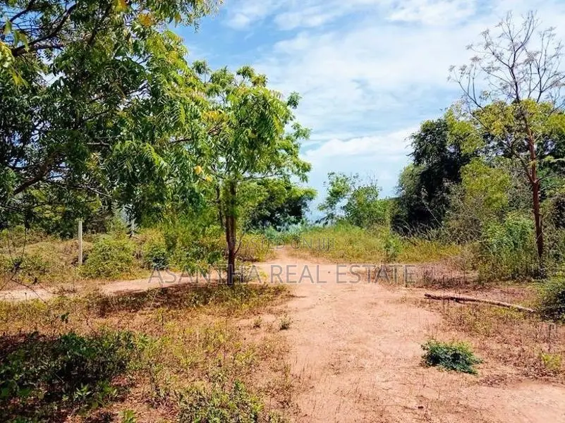 (AF391) 147.25 P Beach Facing Land Sale At Kahadamodara Rekewa Ranna