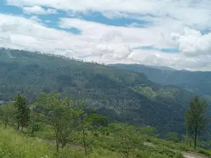 View point land for sale Nuwara Eliya