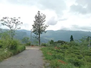 View point land for sale Nuwara Eliya