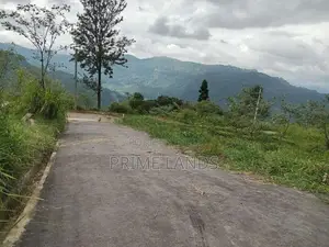 View point land for sale Nuwara Eliya