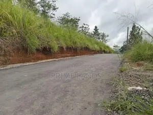 View point land for sale Nuwara Eliya