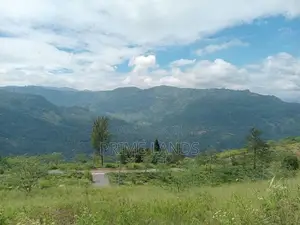 Nuwaraeliya Road Pundaluoya Land