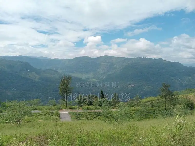 Nuwaraeliya Road Pundaluoya Land