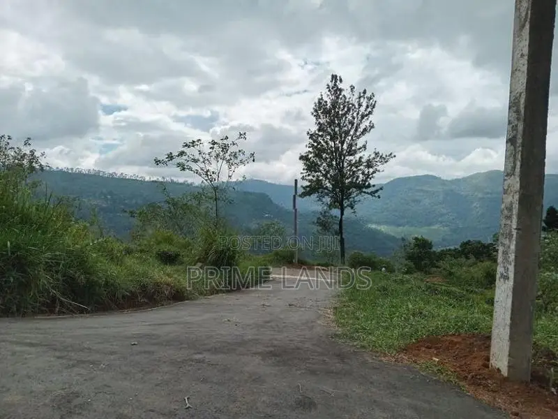 Valuable land for sale Nuwara Eliya
