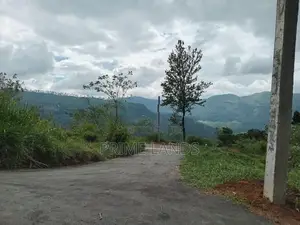 Land for Sale Nuwara Eliya Road Pundaluoya