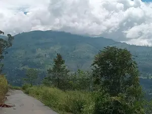 Nuwaraeliya road pundaluoya