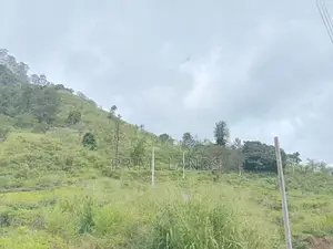 Nuwaraeliya Road Pundaluoya Land for Sale