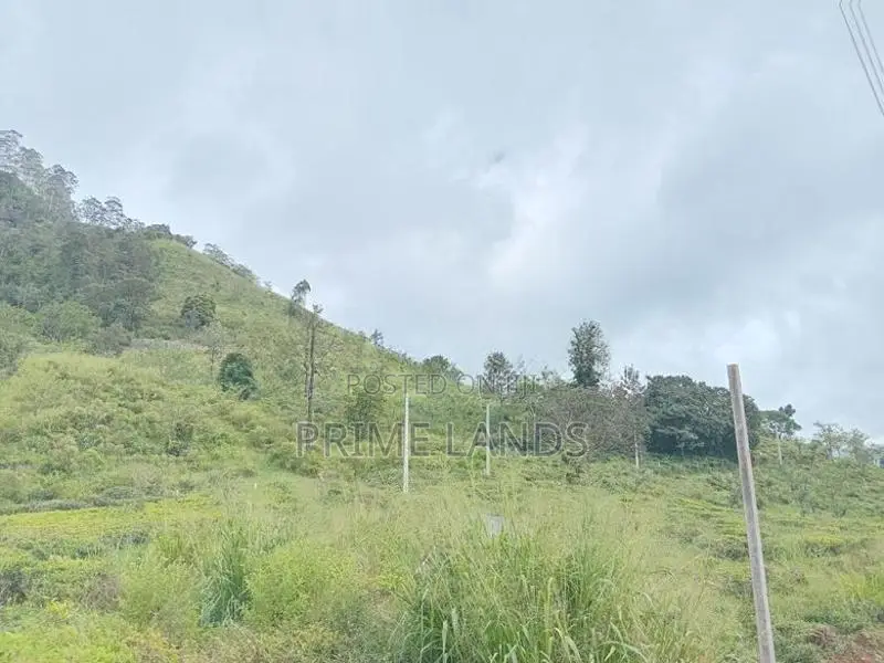Nuwaraeliya Road Pundaluoya Land for Sale
