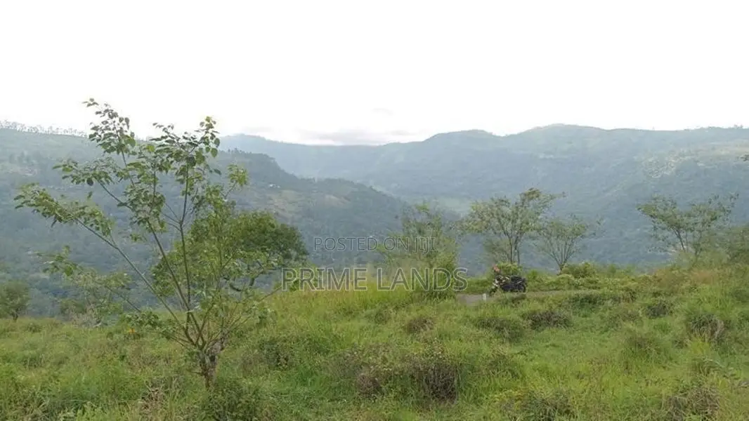 View point land for sale Nuwara Eliya