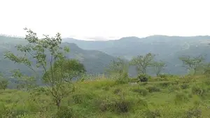 View point land for sale Nuwara Eliya