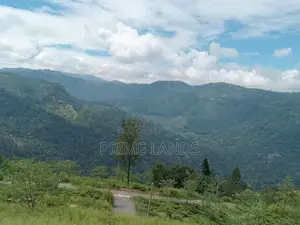 Nuwaraeliya Road Pundaluoya Land
