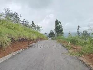 Land for Sale Nuwara Eliya Road Pundaluoya