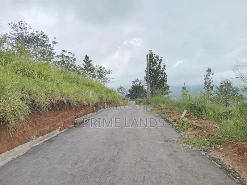 Land for Sale Nuwara Eliya Road Pundaluoya