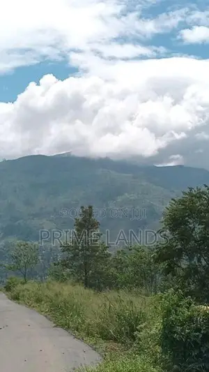 View Point Land for Sale Nuwara Eliya Pundaluoya