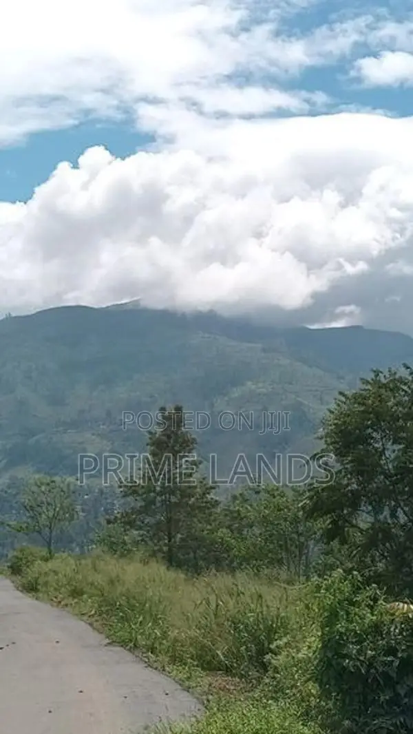 View Point Land for Sale Nuwara Eliya Pundaluoya