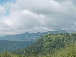 Valuable land for sale Nuwara Eliya Road