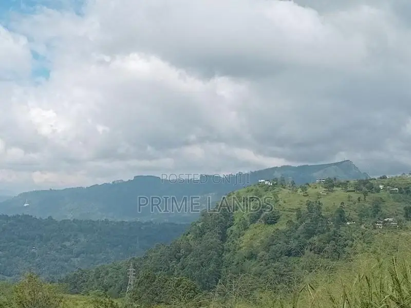 Valuable land for sale Nuwara Eliya Road
