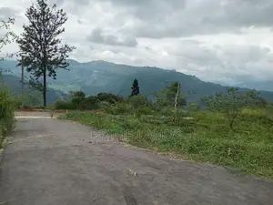 View Point Land for Sale Nuwara Eliya Pundaluoya