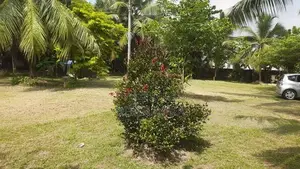 commercial land for sale rajagiriya Ds202