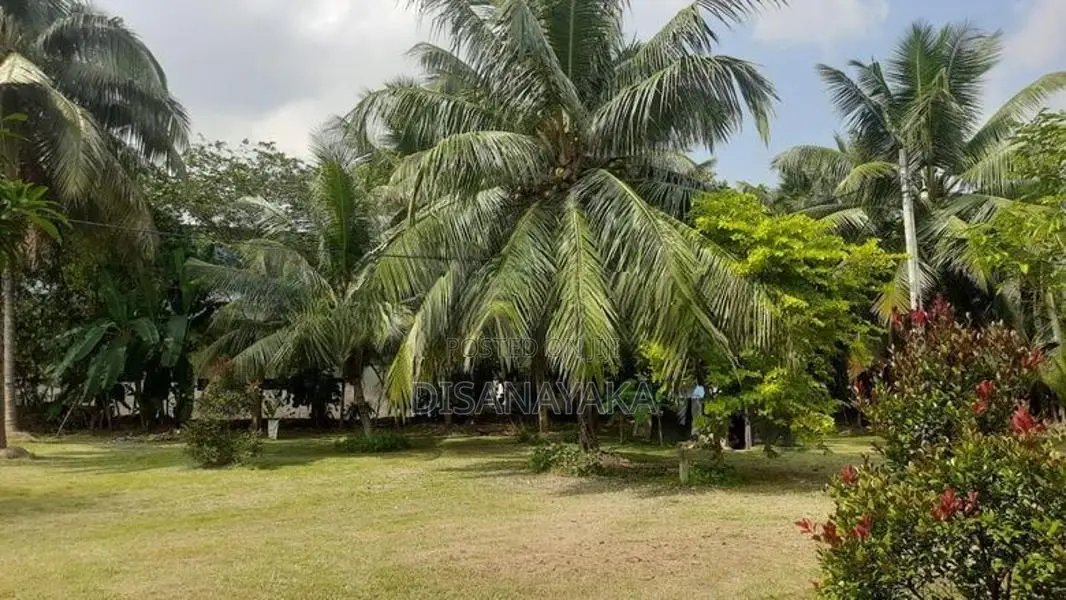 commercial land for sale rajagiriya Ds202
