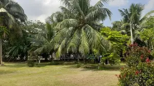 commercial land for sale rajagiriya Ds202