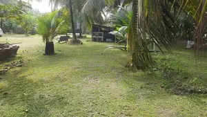 commercial land for sale rajagiriya Ds202